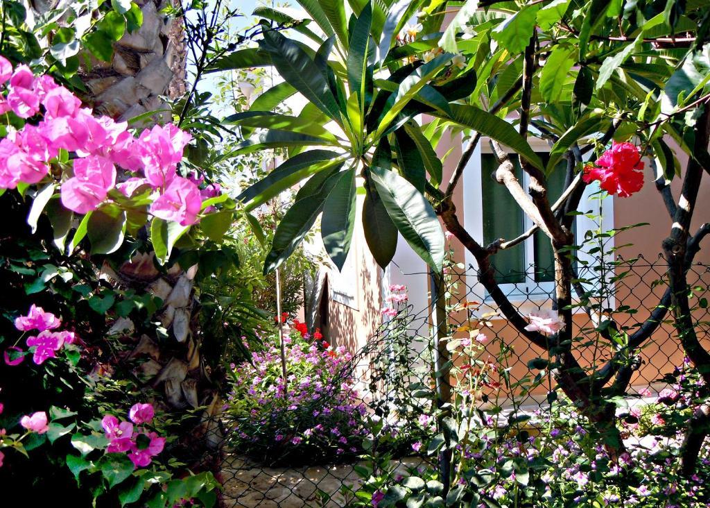 Rododafni Villas Klorakas Екстериор снимка