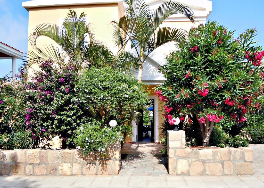 Rododafni Villas Klorakas Стая снимка